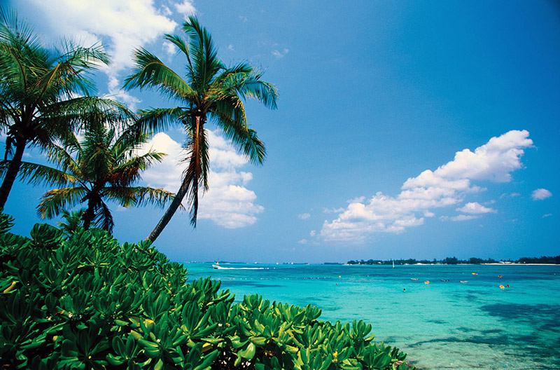 Туры на Багамы, отдых на Багамских островах