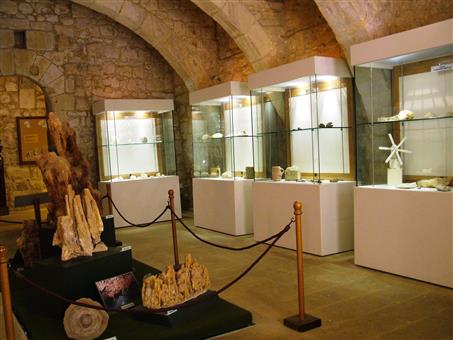 Музей естествознания Гозо, Мальта, Виктория